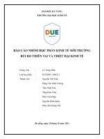 Báo cáo nhóm học phần kinh tế môi trường rủi ro thiên tai và thiệt hại kinh tế
