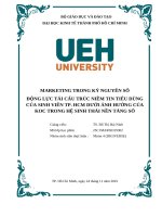 Marketing trong kỷ nguyên số Động lực tái cấu trúc niềm tin tiêu dùng của sinh viên tp  hcm dưới Ảnh hưởng của koc trong hệ sinh thái nền tảng số