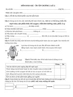 Bộ đề ôn tập cuối HKI môn khoa học tích hợp lớp 5 hệ chuẩn vinschool kèm đáp án