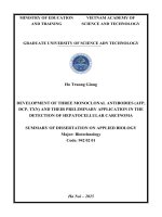 Tóm tắt tiếng anh nghiên cứu tạo ba kháng thể Đơn dòng (afp, dcp, txn) và bước Đầu Ứng dụng trong phát hiện ung thư biểu mô tế bào gan
