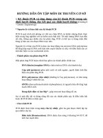 Hướng dẫn Ôn tập cuối kỳ - Môn di truyền cơ sở