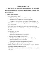 Ôn tập cuối kỳ - Marketing quốc tế