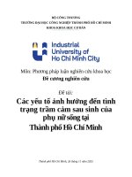 IUH - Các yếu tố ảnh hưởng đến tình trạng trầm cảm sau sinh của phụ nữ sống tại Thành phố Hồ Chí Minh