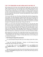 Đề cương ôn tập - Tế bào thực vật