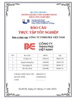IUH - BCTT Công nghệ điện - CÔNG TY TNHH PKE VIỆT NAM