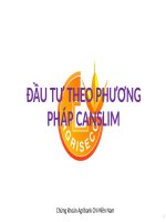 Đầu tư theo phương pháp canslim