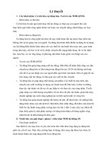 Lý thuyết Tự động hóa