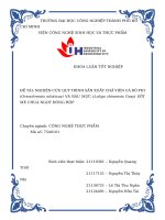 IUH - KLTN - NGHIÊN CỨU QUY TRÌNH SẢN XUẤT CHẢ VIÊN CÁ RÔ PHI (Oreochromis niloticus) VÀ RÂU MỰC (Loligo chinensis Gray) SỐT ME CHUA NGỌT ĐÓNG HỘP