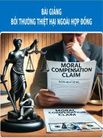 BÀI GIẢNG - BỒI THƯỜNG THIỆT HẠI NGOÀI HỢP ĐỒNG ( combo full slides )