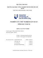 IUH - KLTN - NGHIÊN CỨU THỬ NGHIỆM SẢN XUẤT TÔM SẤY TẨM VỊ