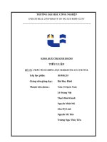 IUH - PHÂN TÍCH CHIẾN LƯỢC MARKETING CỦA VIETTEL