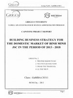 XÂY DỰNG CHIẾN LƯỢC KINH DOANH CHO THỊ TRƯỜNG NỘI ĐỊA CỦA CÔNG TY CỔ PHẦN BÌNH MINH GIAI ĐOẠN 2013 - 2018 G1_00498 BUILDING BUSINESS STRATEGY FOR THE DOMESTIC MARKET OF BINH ΜΙΝΗ JSC IN THE PERIOD OF 2013 - 2018