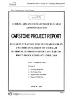 CHIẾN LƯỢC KINH DOANH DẦU THỰC VẬT TẠI THỊ TRƯỜNG CAMBODIA CỦA CÔNG TY CỔ PHẦN XUẤT NHẬP KHẨU HÀNG HÓA QUỐC GIA VIỆT NAM ĐẾN NĂM 2018 G1_00571