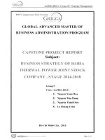 CHIẾN LƯỢC KINH DOANH CỦA CÔNG TY CỔ PHẦN NHIỆT ĐIỆN BARIA, GIAI ĐOẠN 2014-2018 G1_00497