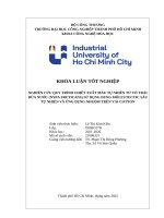 IUH - KLTN - NGHIÊN CỨU QUY TRÌNH CHIẾT XUẤT MÀU TỰ NHIÊN TỪ VỎ TRÁI DỪA NƯỚC (NYPA FRUTICANS) SỬ DỤNG DUNG MÔI EUTECTIC SÂU TỰ NHIÊN VÀ ỨNG DỤNG NHUỘM TRÊN VẢI COTTON