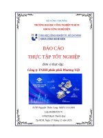 IUH - BCTT Công nghệ điện - Công ty TNHH phân phối Phương Việt