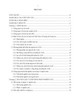 Xác Định hàm lượng kim loại nặng cd và pb có trong rau cải xanh (brassica juncea l ) trên Địa bàn thành phố biên hoà, tỉnh Đồng nai báo cáo nghiên cứu khoa học removed