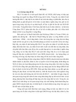 Nghiên cứu các nhân tố Ảnh hưởng Đến Động lực làm việc của cán bộ công Đoàn chuyên trách tại liên Đoàn lao Động thành phố hồ chí minh removed