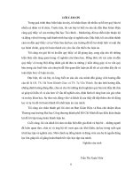 Tác Động của hình Ảnh Điểm Đến du lịch nha trang Đến Ý Định quay trở lại của du khách và hành vi Đóng góp truyền miệng xã hội của du khách removed