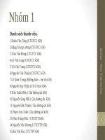 Slide nền móng tính lún