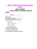 MẪU ĐỀ CƯƠNG GIÁM SÁT