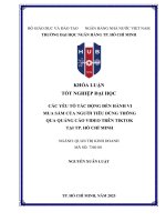 Khóa luận tốt nghiệp các yếu tố tác Động Đến hành vi mua sắm của người tiêu dùng thông qua quảng cáo video trên tiktok tại tp  hồ chí minh