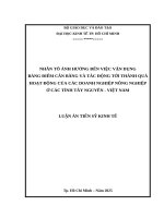 Nhân tố Ảnh hưởng Đến việc vận dụng bảng Điểm cân bằng và tác Động tới thành quả hoạt Động của các doanh nghiệp nông nghiệp Ở các