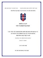 Khóa luận tốt nghiệp các yếu tố Ảnh hưởng Đến rủi ro tín dụng và an toàn tài chính tại các ngân hàng thương mại việt nam