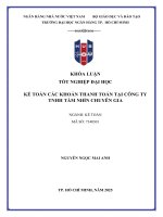 Khóa luận tốt nghiệp kế toán các khoản thanh toán tại công ty tnhh tầm nhìn chuyên gia