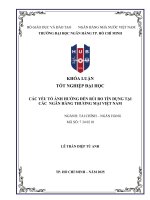 Khóa luận tốt nghiệp các yếu tố Ảnh hưởng Đến rủi ro tín dụng tại các ngân hàng thương mại việt nam