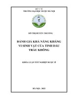 Đánh giá khả năng kháng vi sinh vật của tinh dầu trầu không   Đỗ thị huyền thương
