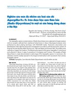 Nghiên cứu mức Độ nhiễm các loài của chi apergillus fr  fr  trên dược liệu cam thảo bắc (radix glycyrrhizae) từ một số cửa hàng Đông dược Ở hà nội   nguyễn liên hương, lê thị thu hương, trần trịnh công