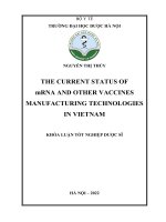 Tổng quan về công nghệ vắc xin mrn và các công nghệ sản xuất vắc xin khác tại việt nam   nguyễn thị thúy