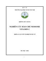 Nghiên cứu bào chế niosome vitamin c   khổng duy Đăng