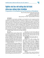 Nghiên cứu bào chế miếng dán kết dính niêm mạc miệng chứa felodipin   phạm văn hùng, nguyễn thị hậu, Đàm thanh xuân, nguyễn thị thanh duyên