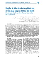 Sàng lọc in silico các cấu trúc phân tử nhỏ có tiềm năng Ức chế hoạt tính bace 1   trần quế hương, lâm mạnh hoàng, trần thị thúy nga, nguyễn thị thu trang, nguyễn thị hải yến, trương thị vân, lê hương ly