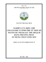 Nghiên cứu Điều chế cellulose vi tinh thể từ một số nguồn dư phẩm sau thu hoạch bằng phương pháp sử dụng chất lỏng ion   nguyễn thị ngọc bích