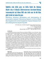 Nghiên cứu kiểu gen và kiểu hình Đa kháng thuốc của vi khuẩn enterococcus faecium kháng vancomycin tại khoa hồi sức tích cực từ dữ liệu giải trình tự toàn hệ gen   vũ thị mỹ linh, lê thị hội, nguyễn vũ trung, phùng thanh hương