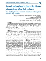 Hợp chất methoxyflavon từ thân rễ Địa liền Đen (kaempferia parviflora wall ex baker)   Đỗ thị hà, nguyễn thị thu, phạm tuấn anh, hà vân oanh, Đỗ quyên