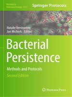 Bacterial persistence methods and protocols   natalie verstraeten