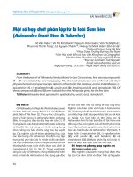 Một số hợp chất phân lập từ lá loài sum liên (adinandra lienii hien & yakovlev)   Đỗ văn hiệu, vũ thị kim oanh, nguyễn hữu quân, văn thị mỹ huệ, phạm hà thành tùng, lê nguyễn thành, hoàng thị minh hiền, Đỗ hải hà