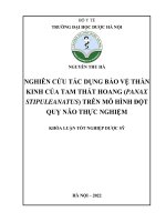 Nghiên cứu tác dụng bảo vệ thần kinh của tam thất hoang (panax stipuleanatus) trên mô hình Đột quỵ não thực nghiệm   nguyễn thu hà