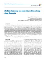 Mô hình hóa Động học phân hủy milrinon trong dung dịch nước   nguyễn trần linh, ngô Đào anh