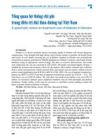Tổng quan hệ thống chi phí trong Điều trị Đái tháo Đường tại việt nam   nguyễn linh việt, võ ngọc yến nhi, trần thị yến nhi, nguyễn thị thu thủy, nguyễn thanh bình