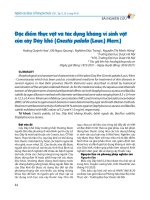 Đặc Điểm thực vật và tác dụng kháng vi sinh vật của cây dây khế (cnestis palala (lour ) merr )   hoàng quỳnh hoa, Đỗ ngọc quang, nghiêm Đức trọng, nguyễn thị minh hồng