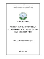 Nghiên cứu tạo tiểu phân albendazol Ứng dụng trong bào chế viên nén   dương Đức trung
