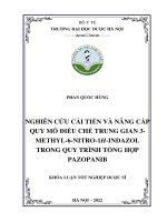 Nghiên cứu cải tiến và nâng cấp quy mô Điều chế trung gian 3 methyl 6 nitro 1h indazol trong quy trình tổng hợp pazopanib   phan quốc hùng