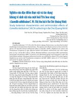 Nghiên cứu Đặc Điểm thực vật và tác dụng kháng vi sinh vật của một loài trà hoa vàng (camellia nitidissima c w chi) thu hái Ở ba chẽ (quảng ninh)   trần văn Ơn, Đỗ ngọc quang, nghiêm Đức trọng, phạm thị mai anh, hoàng quỳnh hoa