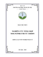 Nghiên cứu tổng hợp molnupiravir từ uridin   trần thu thủy