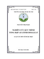 Nghiên cứu quy trình tổng hợp afatinib dimaleat   nguyễn thị ngọc